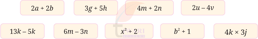 Class 8 Maths Ganita Prakash Chapter 5 Image 1