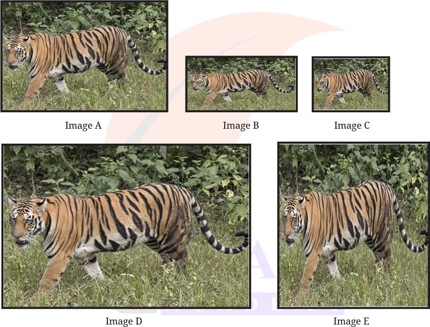 Class 8 Maths Ganita Prakash Chapter 7 Image 1