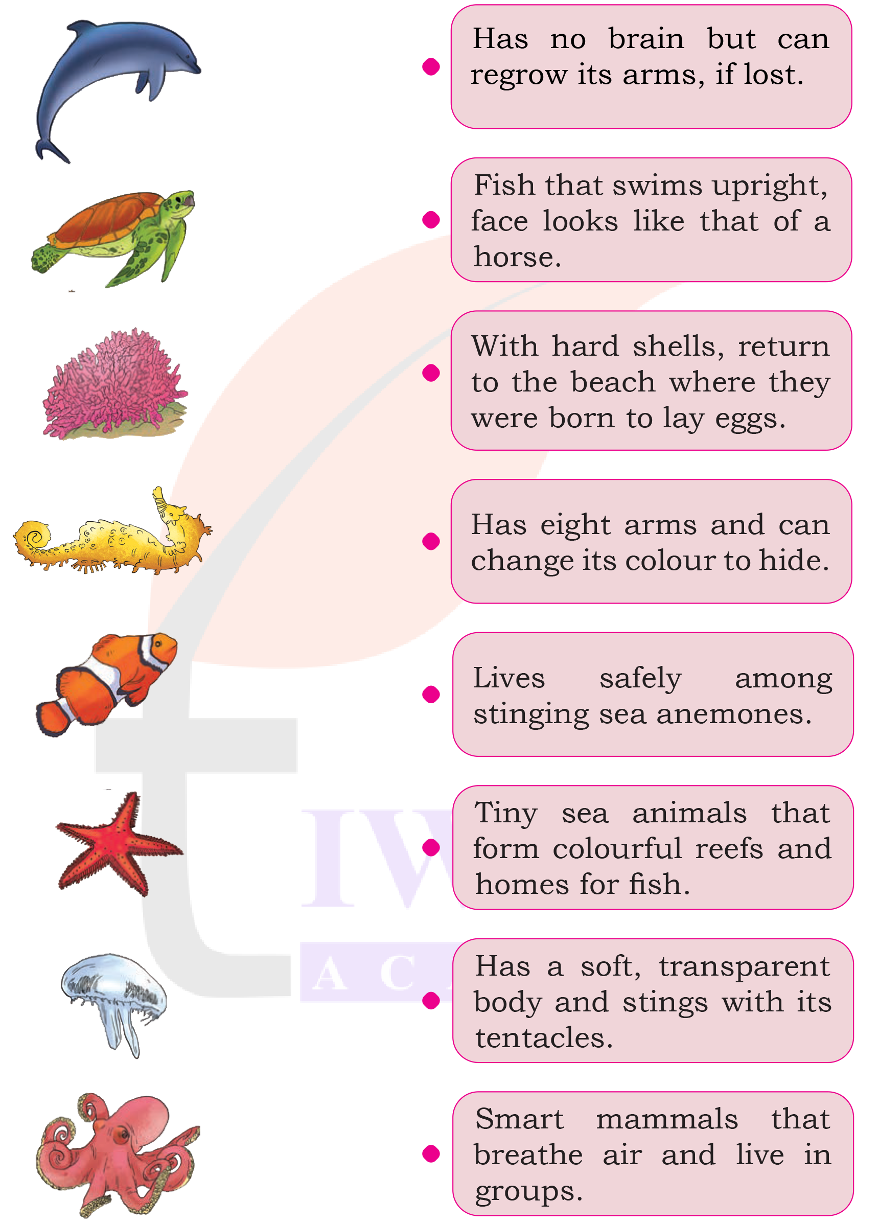 Class 5 EVS Our Wondrous World Chapter 6 Image 5
