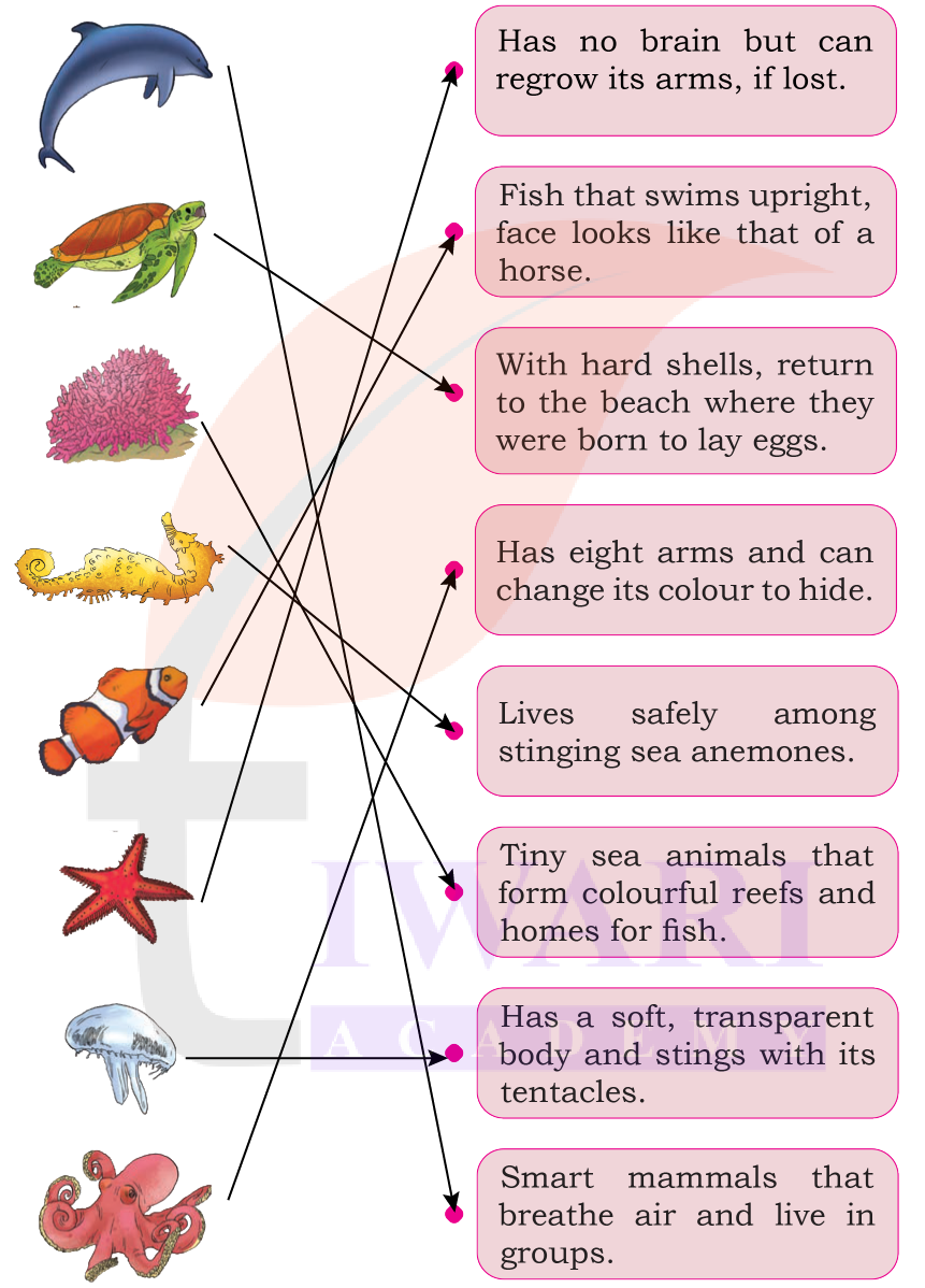 Class 5 EVS Our Wondrous World Chapter 6 Image 6