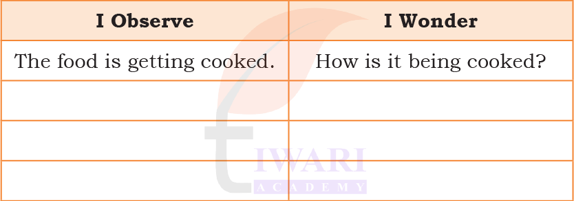 Class 5 EVS Our Wondrous World Chapter 7 Image 2