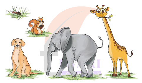 Class 4 Maths Mela Chapter 8 Weigh It Pour It solved question image