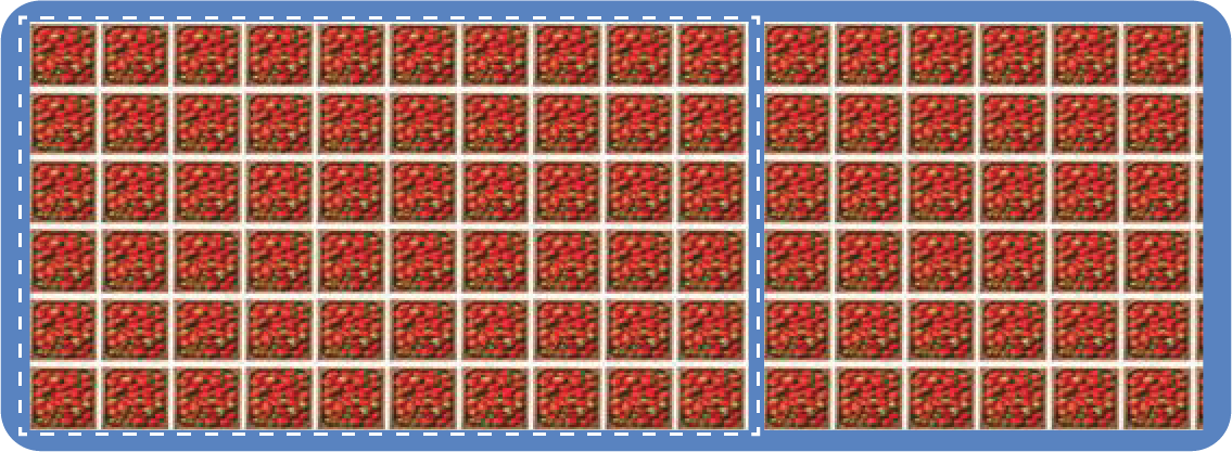 Rows and columns array model Class 4 Maths solution image