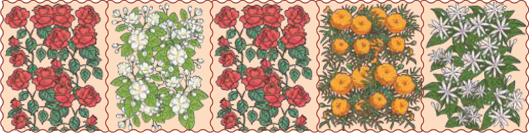 Comparing fractions using shaded parts Class 4 Maths Mela