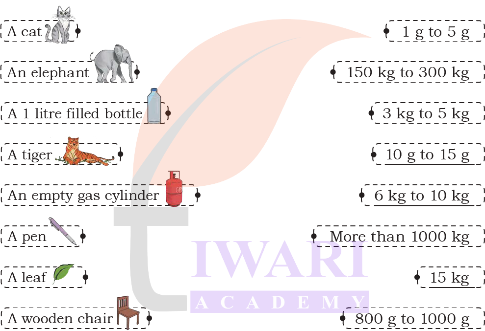 Class 4 Maths Mela elephant and cat weight comparison