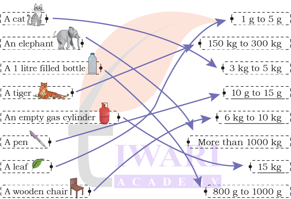 Class 4 Maths Mela elephant and cat weight comparison solution