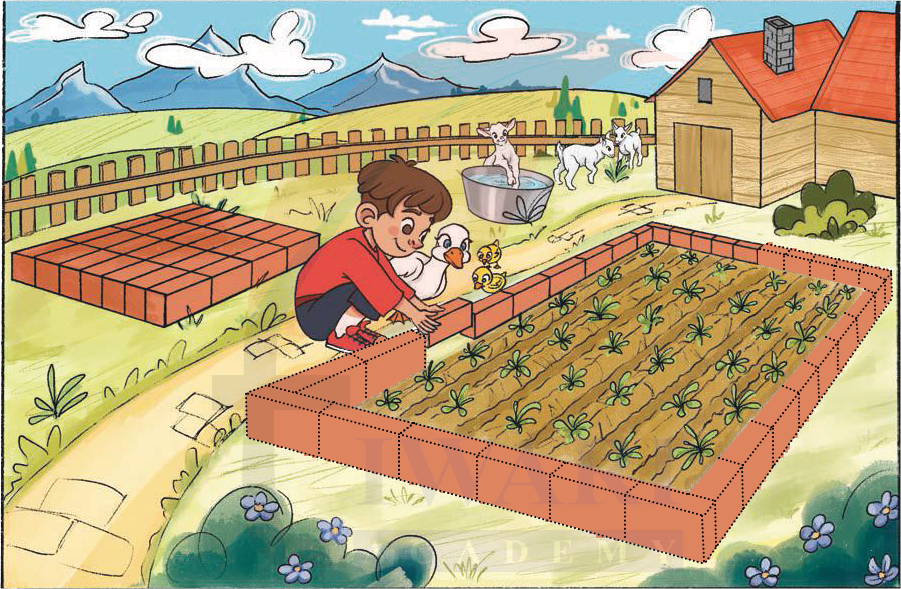 Class 4 Maths Chapter 6 one centimetre grid measurement explained