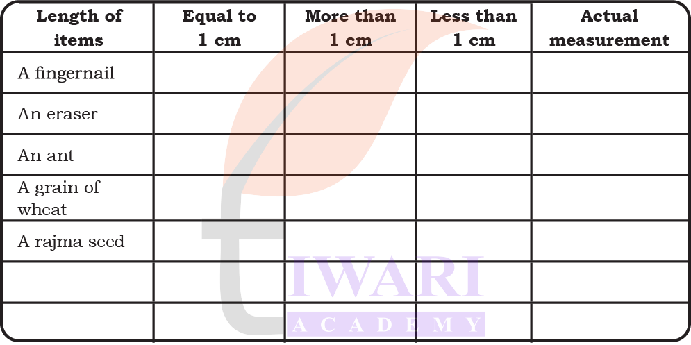 Class 4 Maths Chapter 6 drawing 5 metre and 10 metre lines