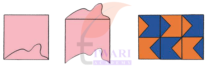 Catty wall tile making activity Class 4 Maths Mela