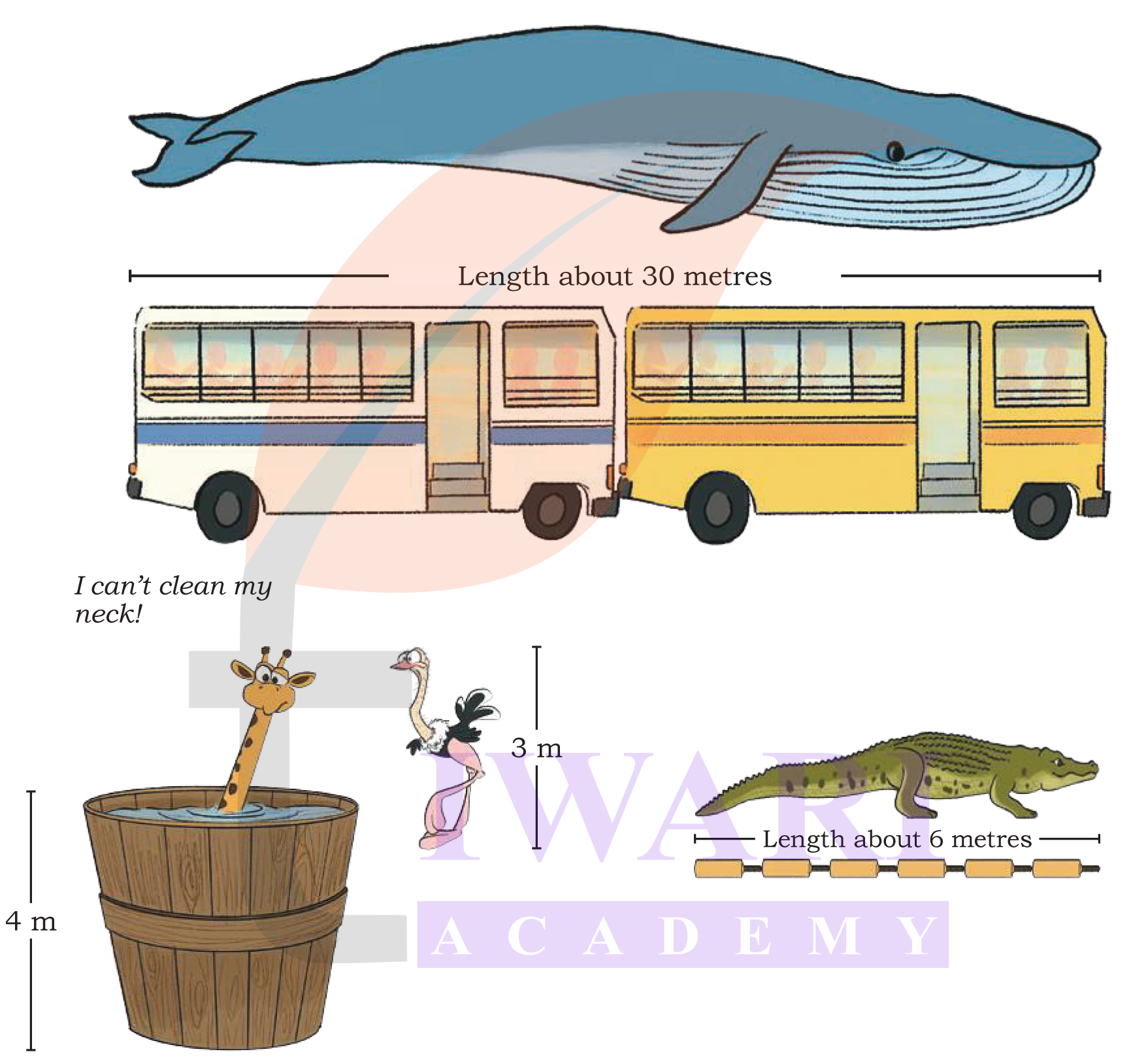 Class 4 Maths Chapter 6 measuring hand span activity