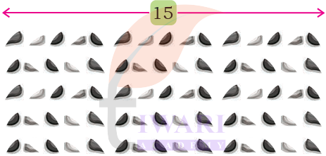 Word Problems Based on Real-Life pebbles Situations