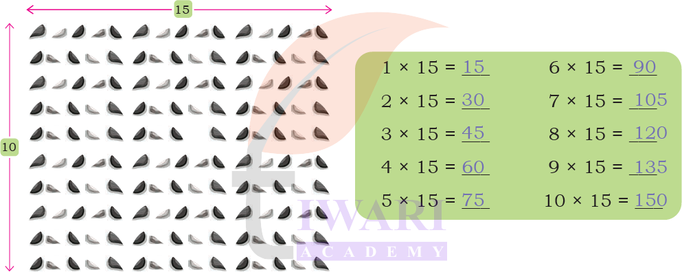 Visual solution in Class 4 Maths Mela Chapter 13