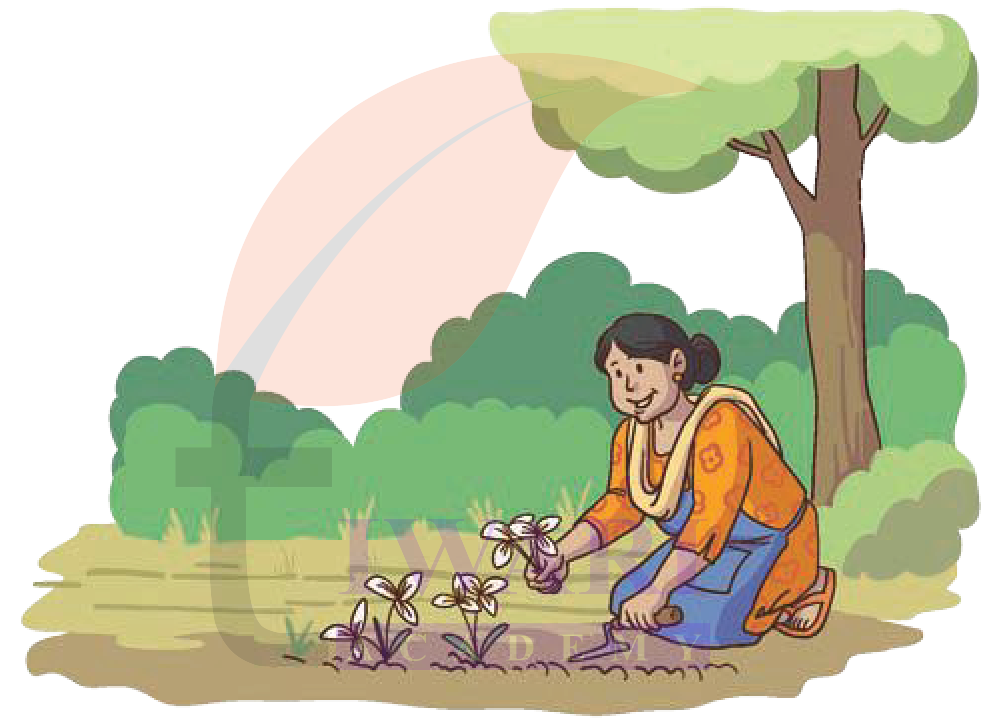 Common multiples activity solution Class 4 Maths Mela