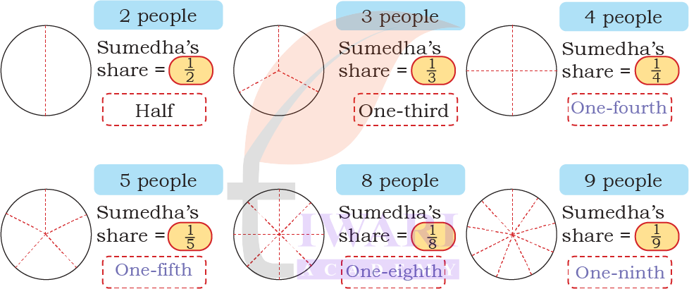 Identifying correct fractions from shaded figures Class 4 Maths