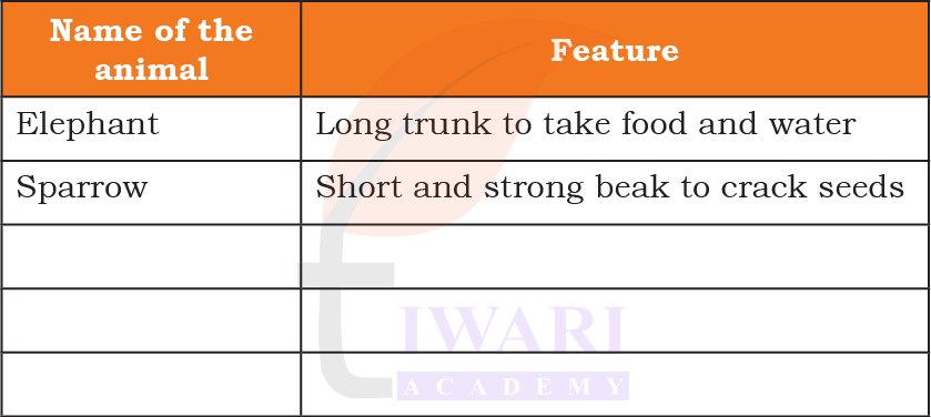 Features of animals like elephant and sparrow