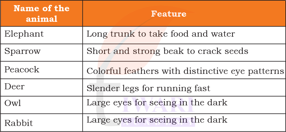 Features of animals like elephant and sparrow with other animals