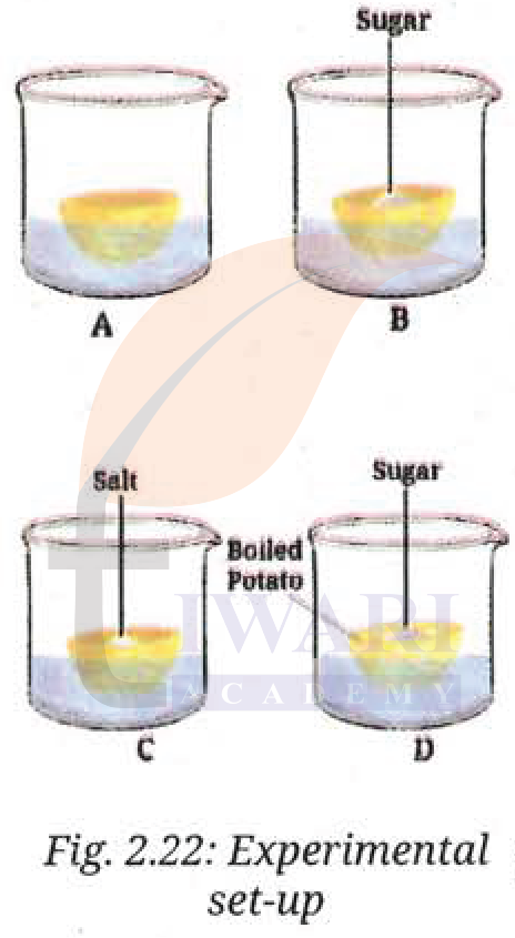 Class 9 Science Exploration Chapter 2 Page 25 Question 10