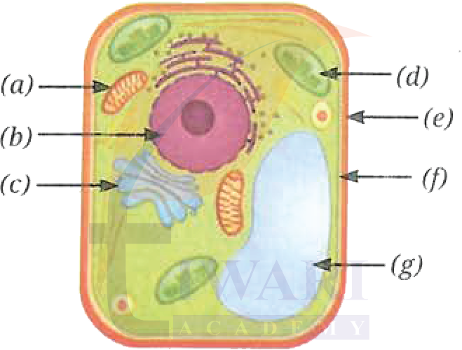 Class 9 Science Exploration Chapter 2 Page 25 Question 3