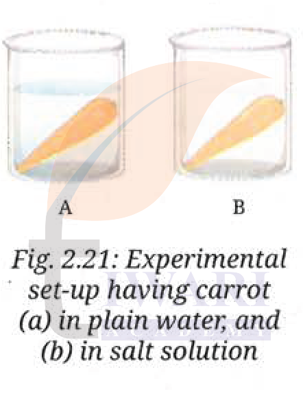 Class 9 Science Exploration Chapter 2 Page 25 Question 8
