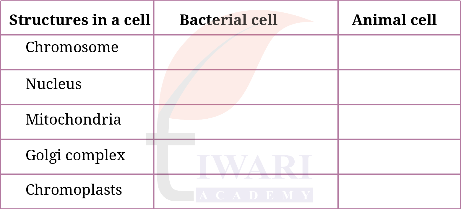 Class 9 Science Exploration Chapter 2 Page 25 Question 9