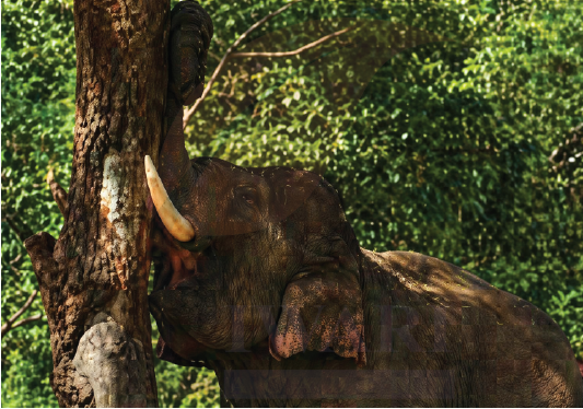 Class 9 Science Exploration Chapter 3 Page 44 Question 8