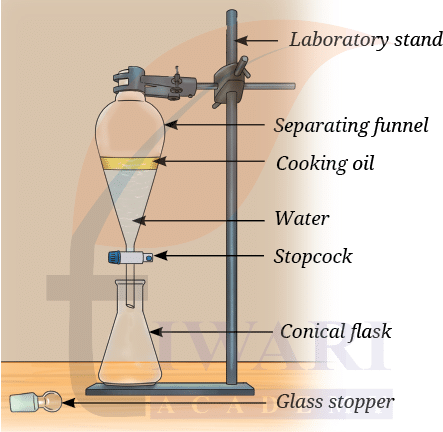 Class 9 Science Exploration Chapter 5 Question 5 Answer