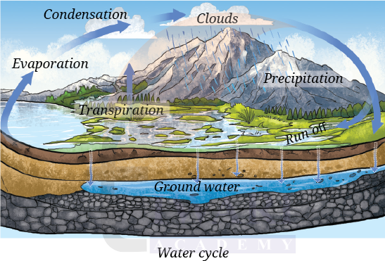 Class 9 Science Exploration Chapter 13 Question 3