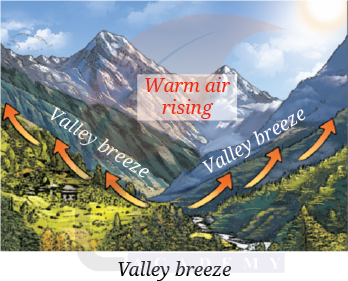 Class 9 Science Chapter 13 Showing Valley Breeze