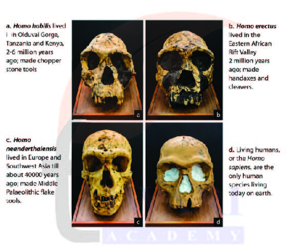 Class 9 Social Science Chapter 4 Page 66 - LET'S EXPLORE