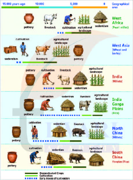 Class 9 Social Science Chapter 4 Page 71 - THINK ABOUT IT