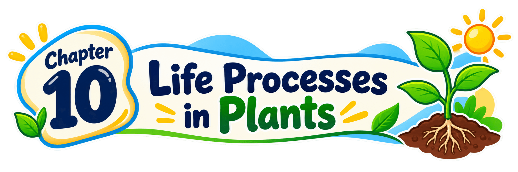 Class 7 Science Chapter 10 Life Processes in Plants