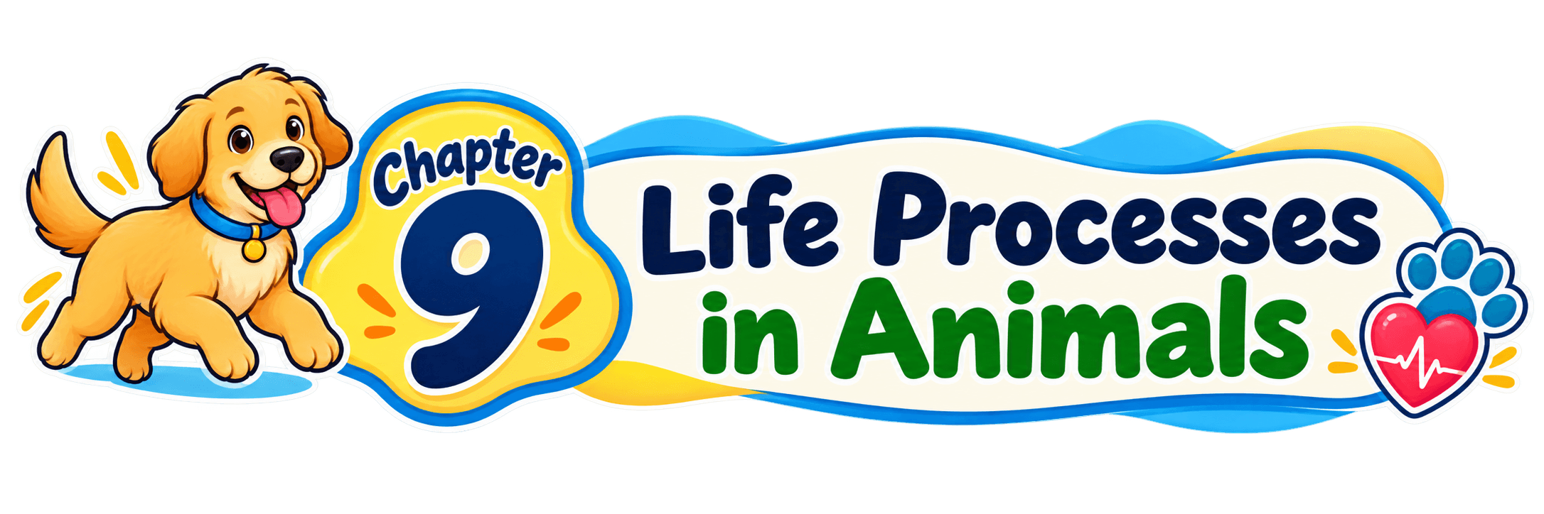 Class 7 Science Chapter 9 Life Processes in Animals