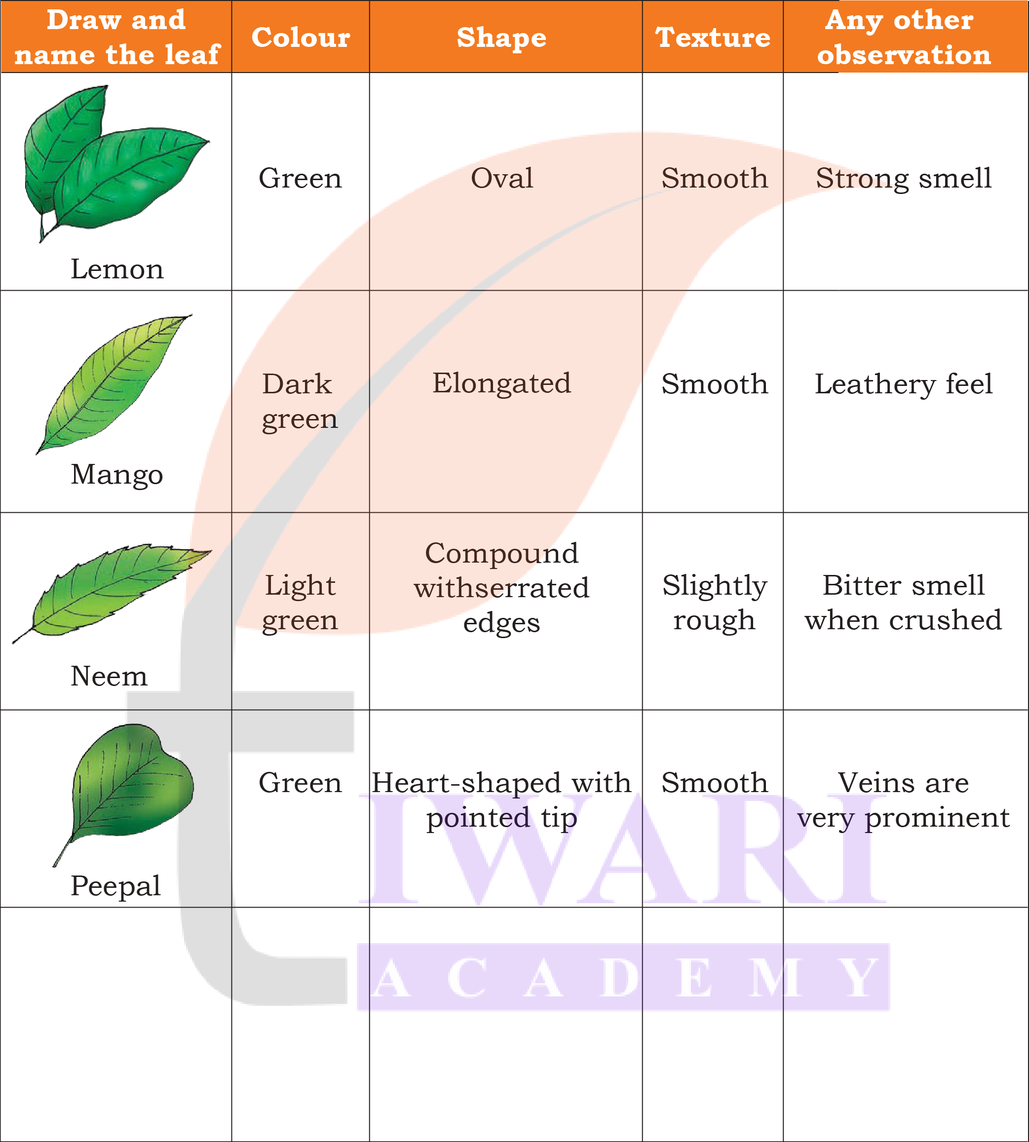 Class 4 EVS Chapter 3 Page 50 - Activity 5 Question 2 Answer