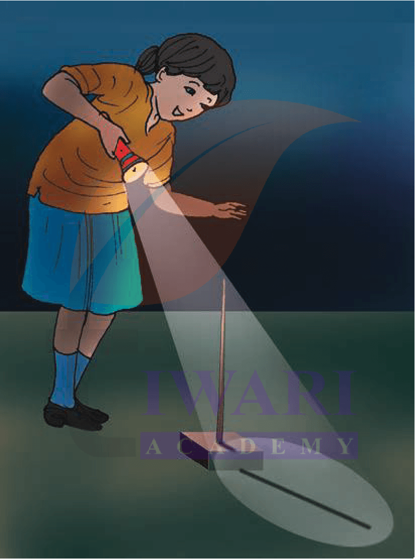 Class 4 EVS Our Wondrous World Chapter 10 Page 156 - Find out