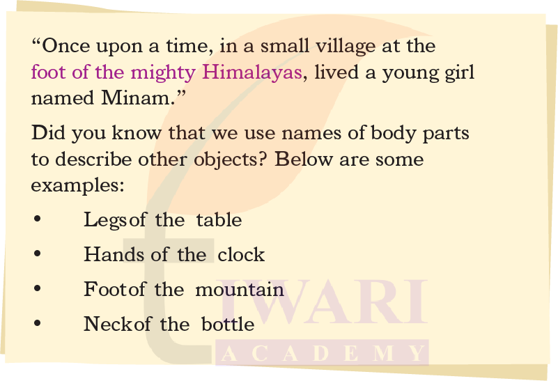 Class 4 English Santoor Chapter 11 Page 117 - Let us Learn - Part C