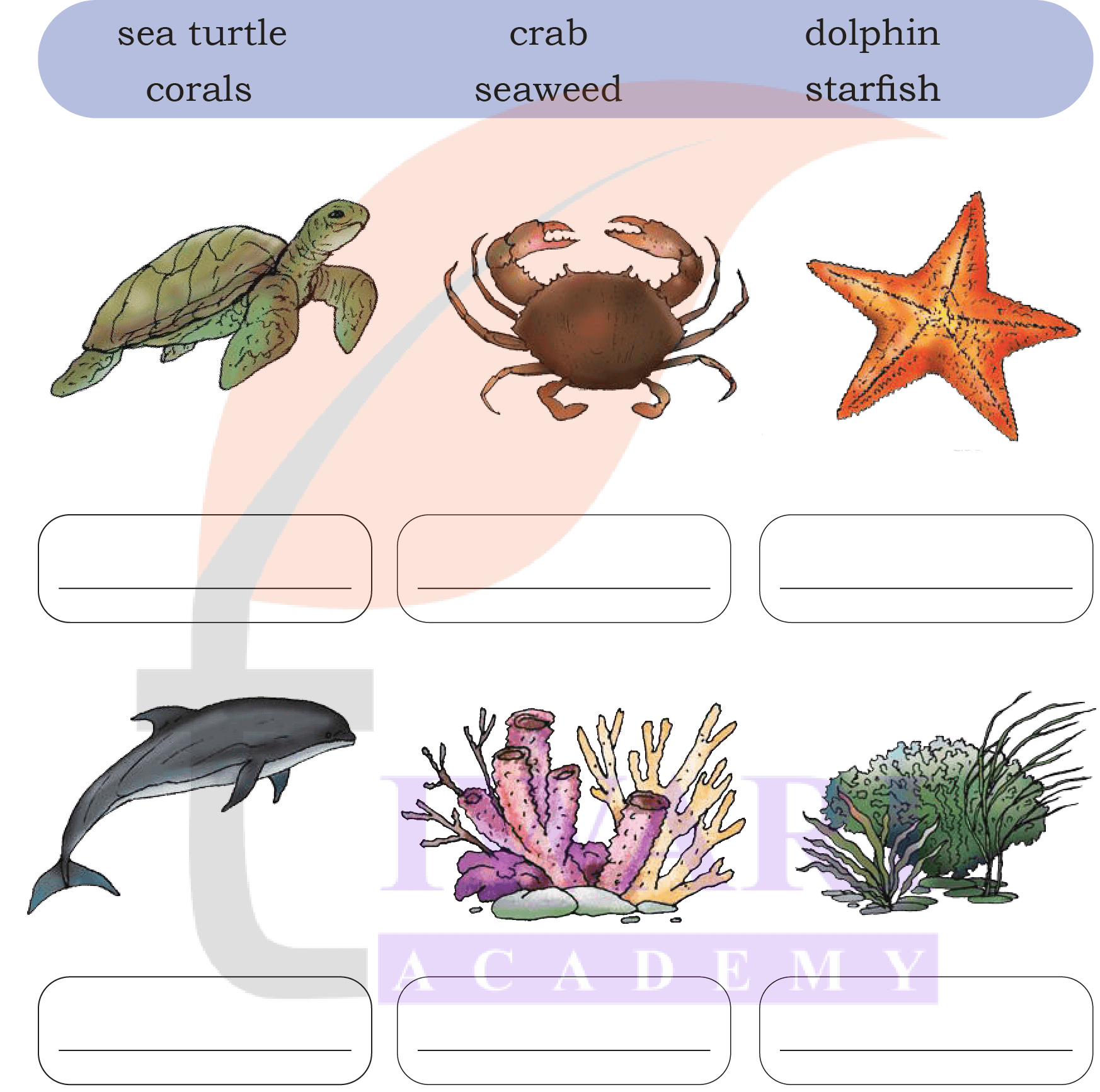 Class 4 EVS Our Wondrous World Chapter 9 Page 142 - Activity 3