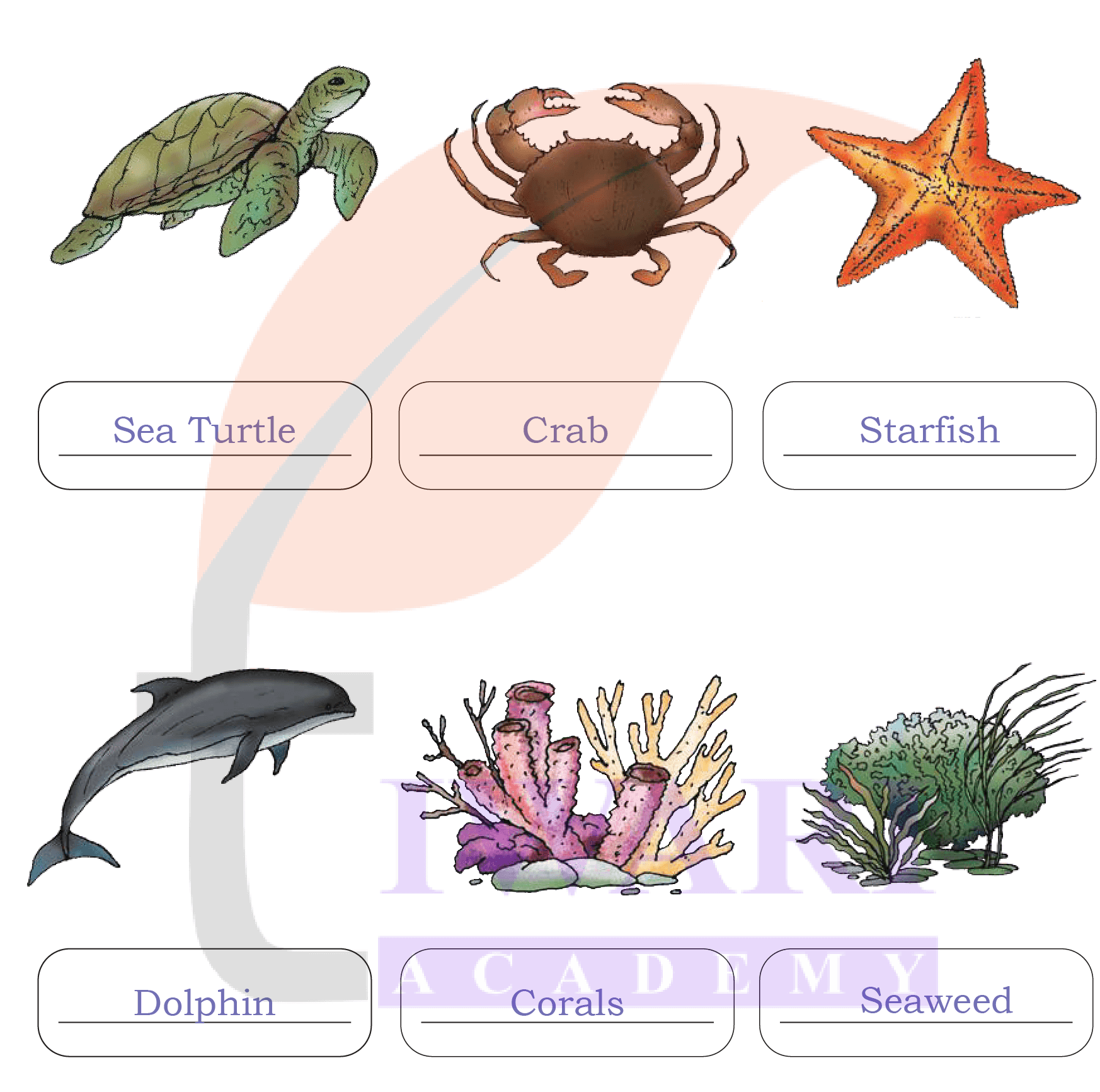 Class 4 EVS Our Wondrous World Chapter 9 Page 142 - Activity 3 Answer