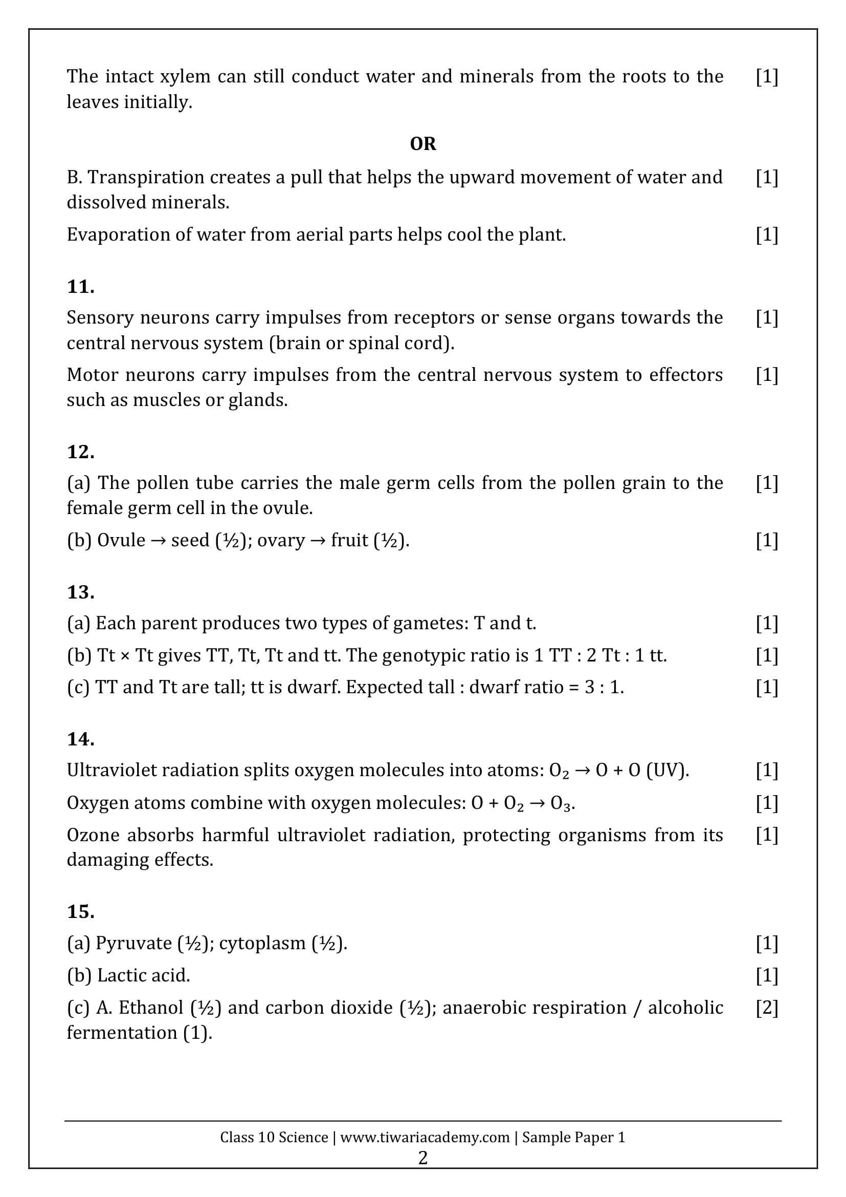 Class 10 Science Sample Paper 1 Answers Page 2