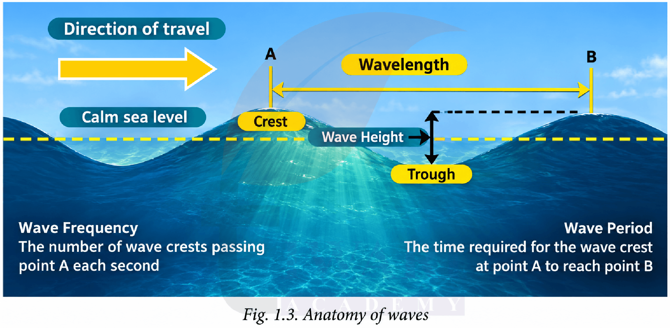 Anatomy of Ocean Waves Diagram