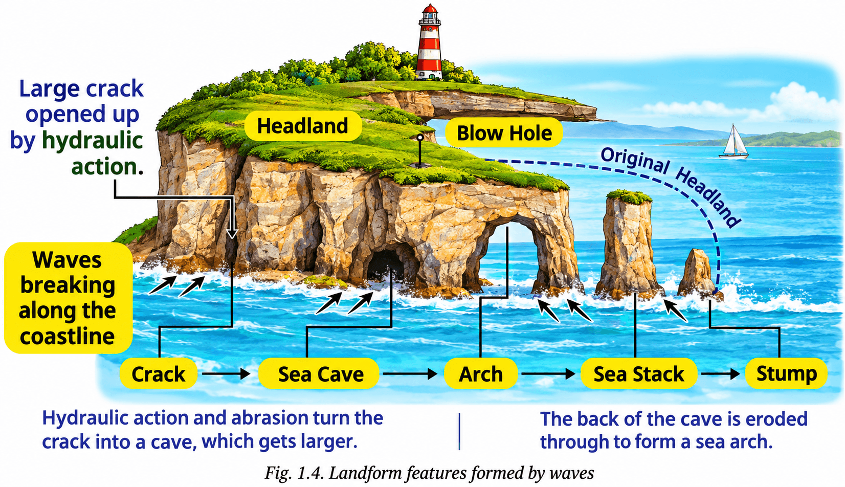 the various landforms formed by waves