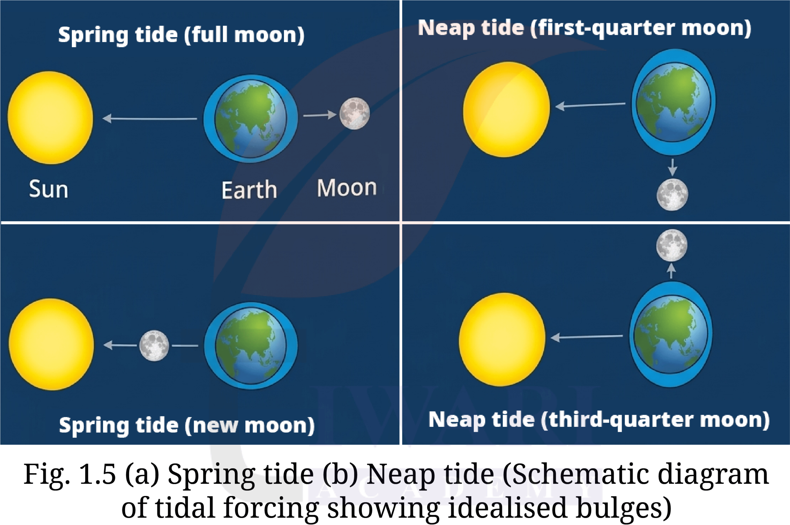 Class 9 Social Science Part 2 Chapter 1 Page 5 - Tides observation