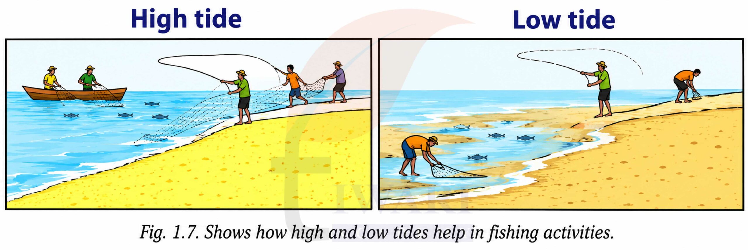 Class 9 Social Science Part 2 Chapter 1 Page 7 Fig. 1.7 observation