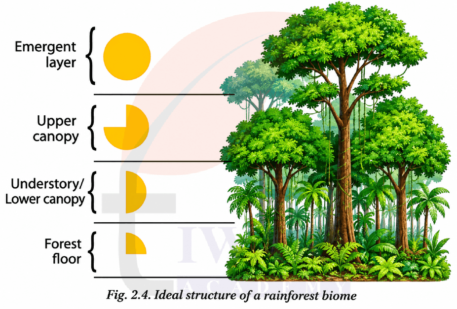 Class 9 Social Science Part 2 Chapter 2 Page 24 image - Forest